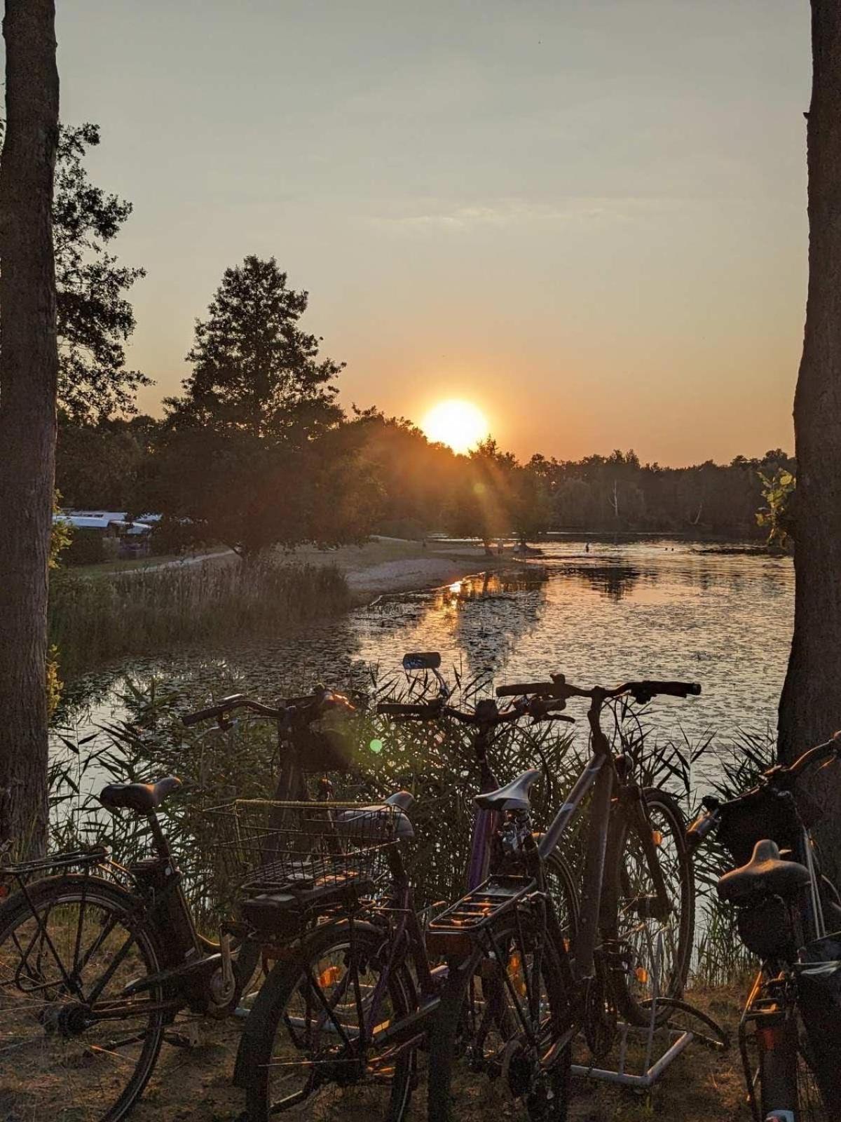 Gruener Bungalow Am Kiebitzsee Falkenburg المظهر الخارجي الصورة