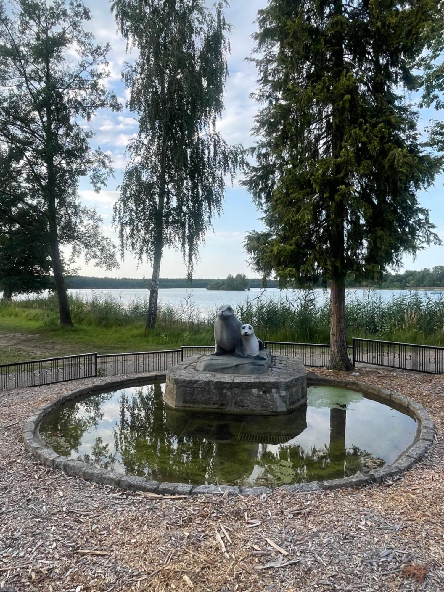 Gruener Bungalow Am Kiebitzsee Falkenburg المظهر الخارجي الصورة